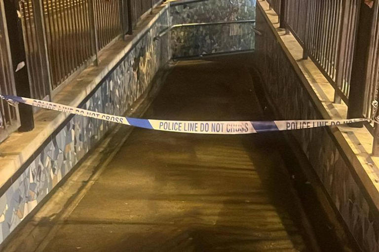 Man stabbed at Oxted train station after fight with six others