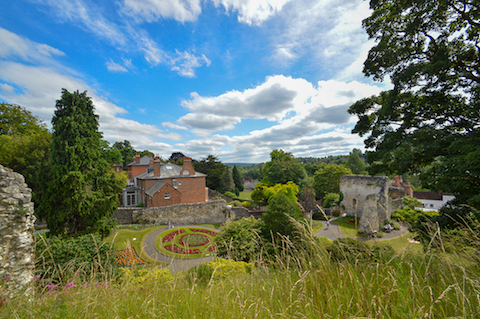 Photo Feature Summer Has Arrived At The Castle Grounds